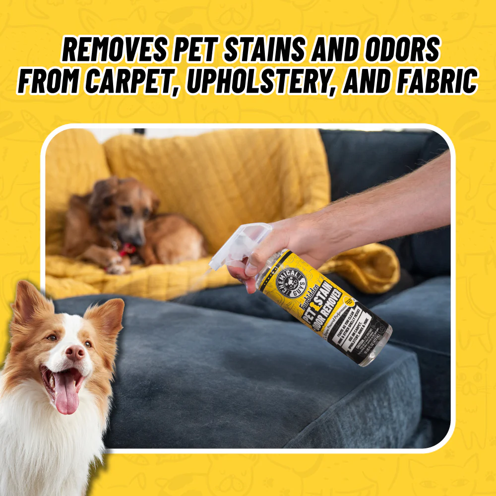 Pets Bundle - Image 4
